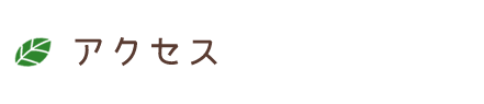 すり傷 切り傷 やけど キズあと 坂戸市にっさい花みず木